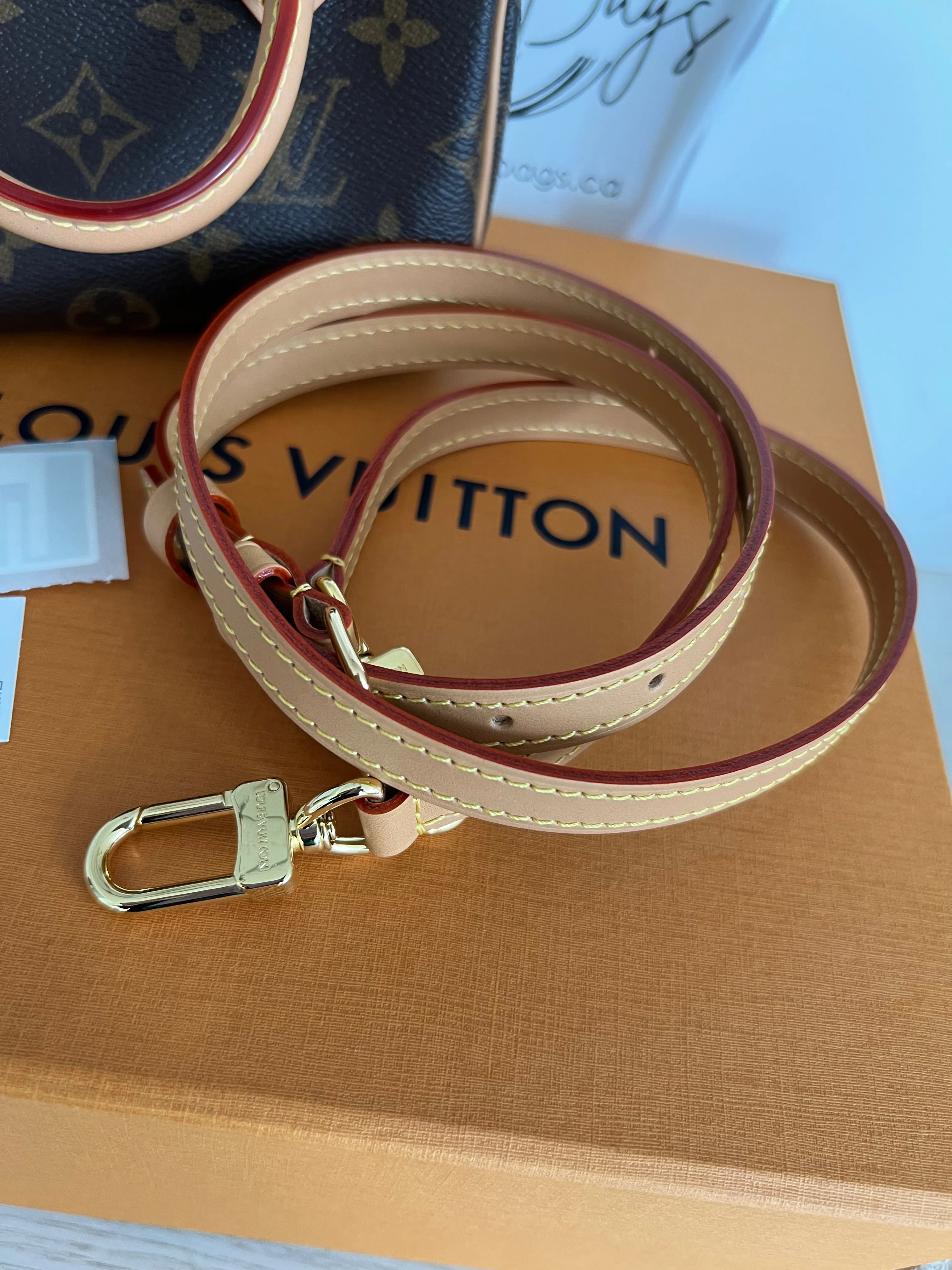 Louis Vuitton Speedy Nano Bag